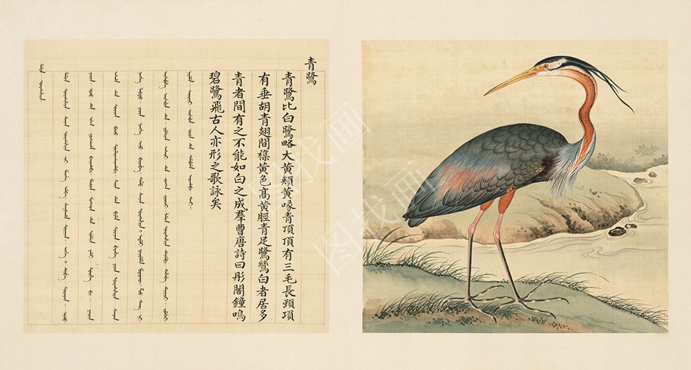 故宫鸟谱  40x78cm (107)